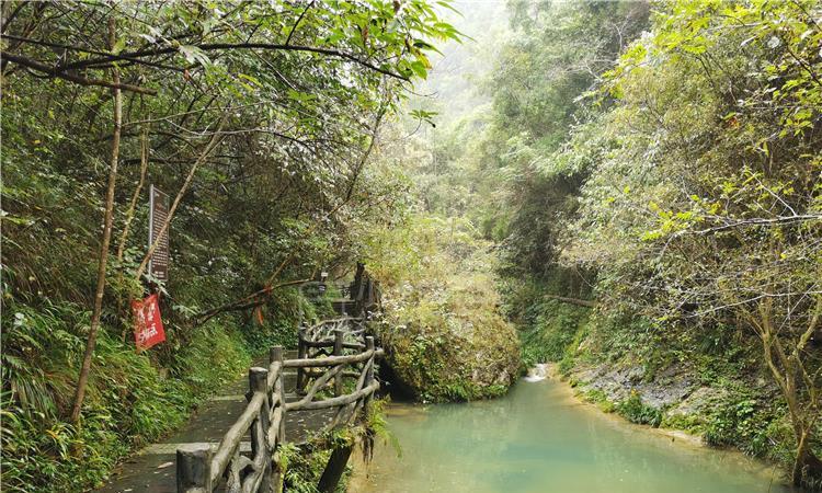 新疆乌什县发生7.1级地震 不同场景安全逃生手册需了解