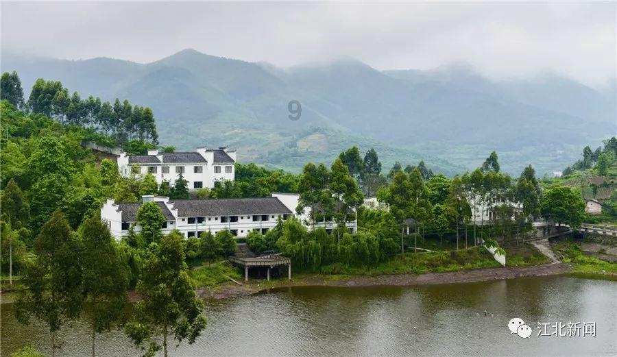 拯救精灵的土地5